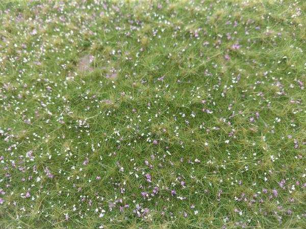 Naturwiese hoch, Herbst